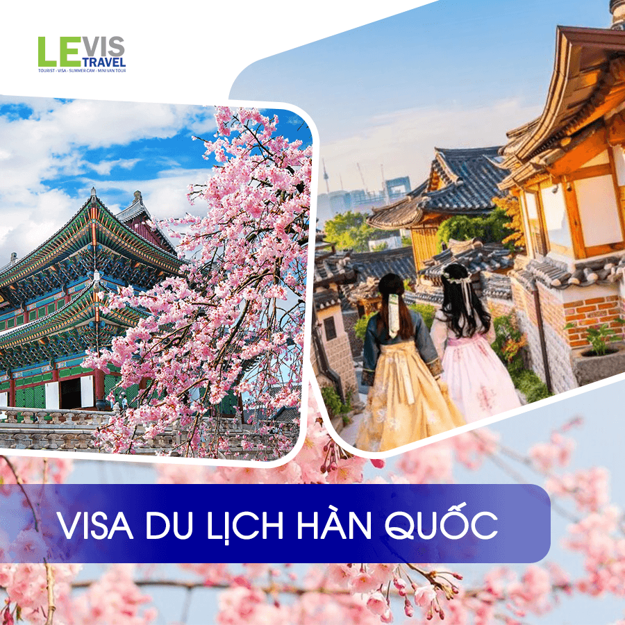 VISA DU LỊCH HÀN QUỐC C-3-1