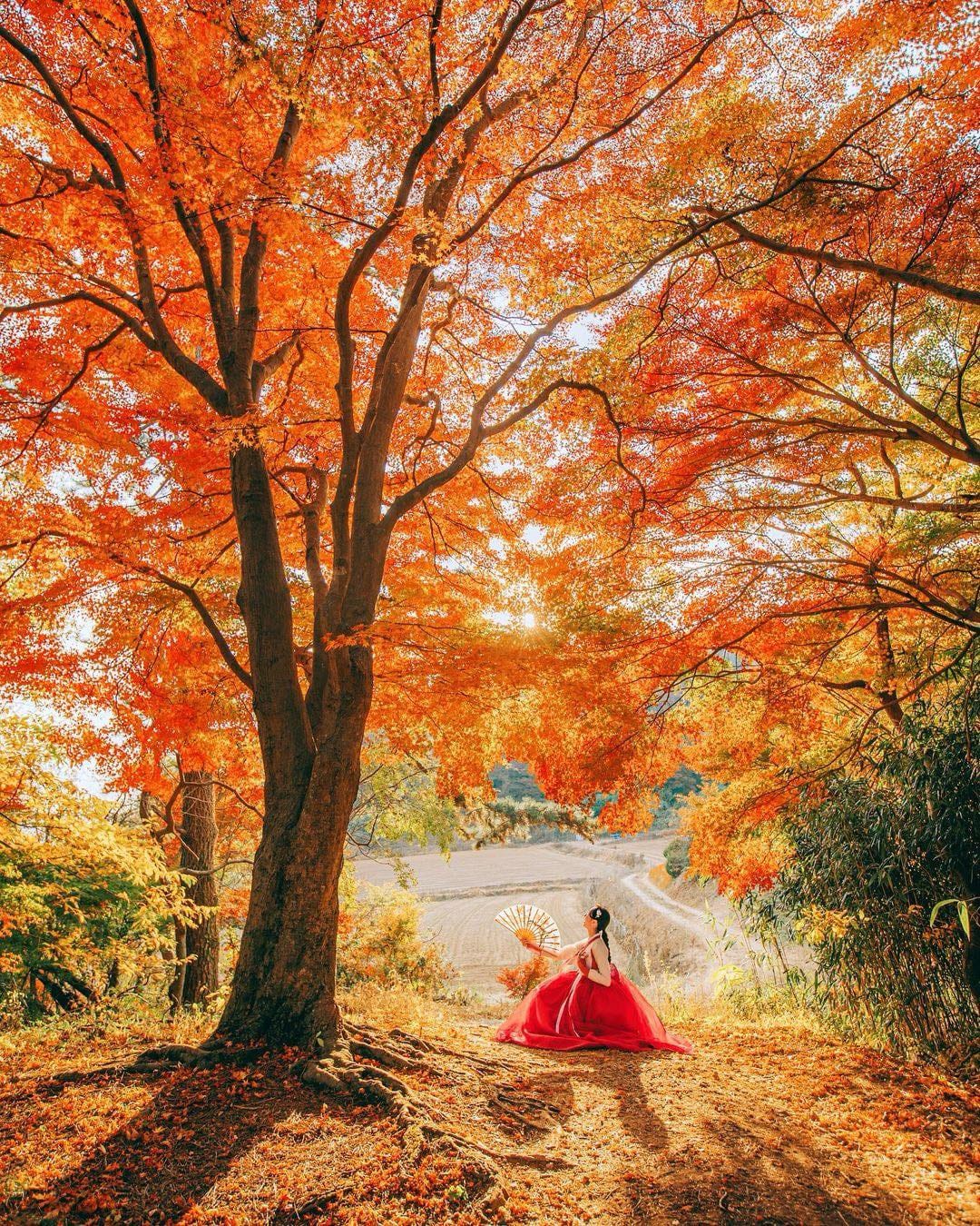 460844720_944167541087113_7955640493334316319_n