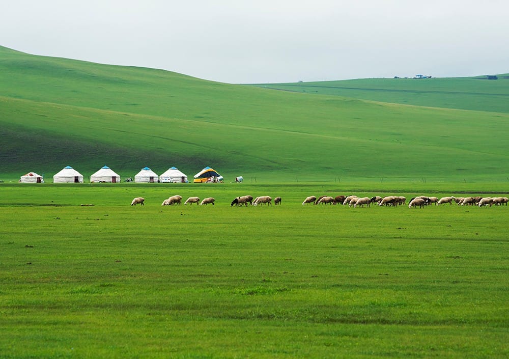 Mùa hè trên thảo nguyên Mông Cổ – Hành trình về với tự do
