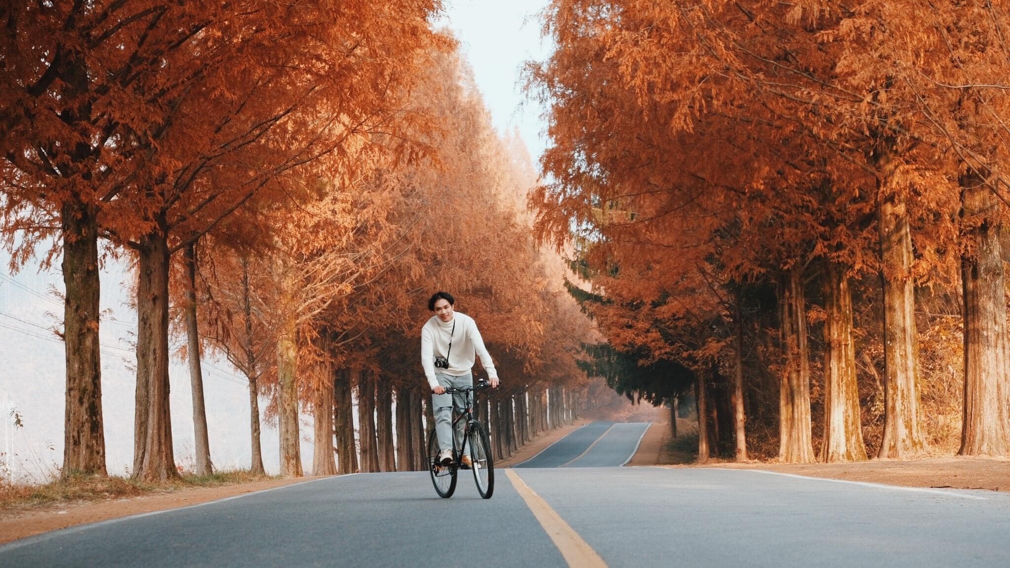 Hàn Quốc mùa thu – Hành trình chạm vào giấc mơ lá đỏ