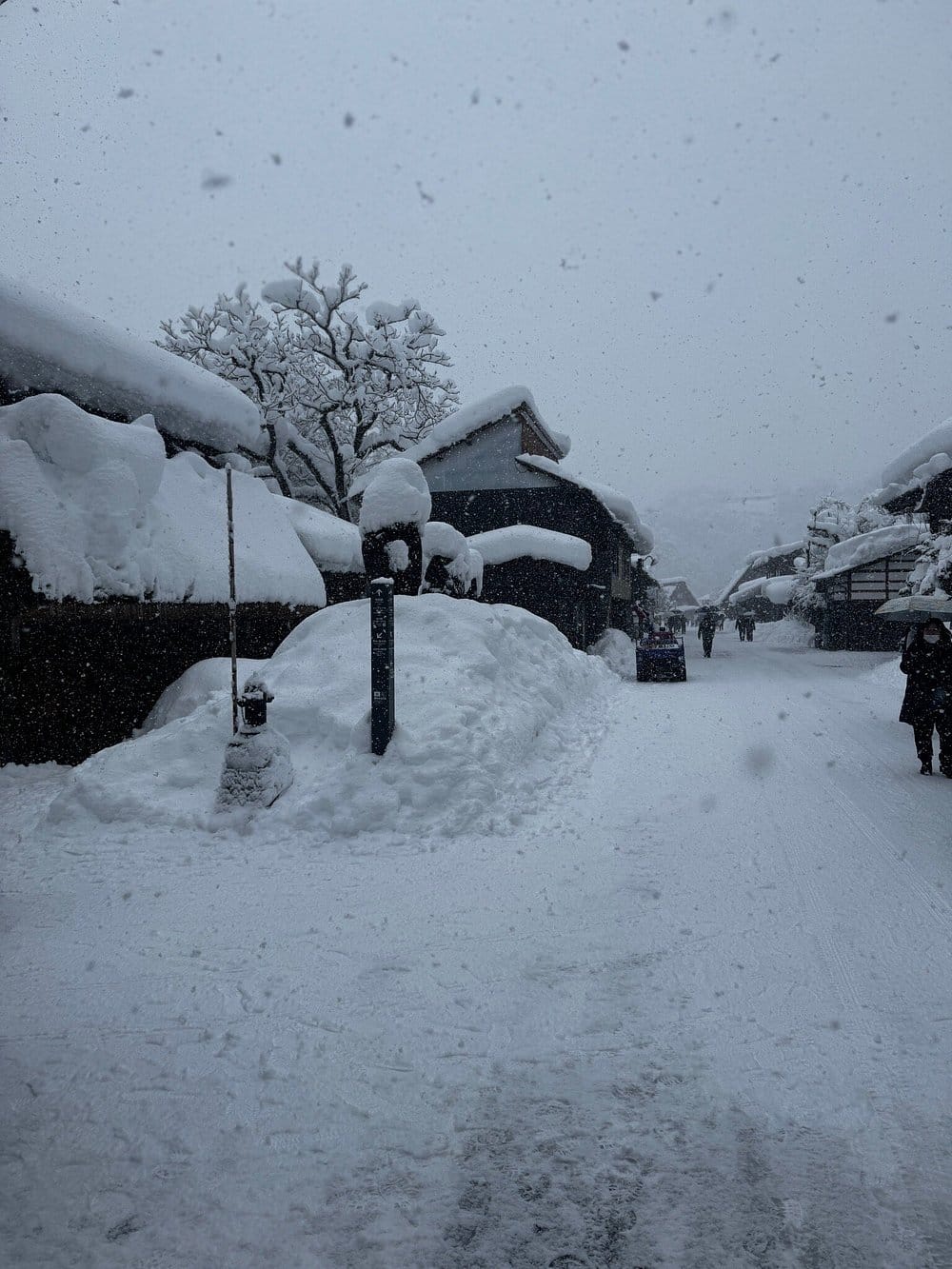 [ NHẬT BẢN ] SHIRAKAWA-GO NGÔI LÀNG CỔ TÍCH PHỦ TUYẾT BẮT ĐẦU TỪ THÁNG 11 Ở GIFU