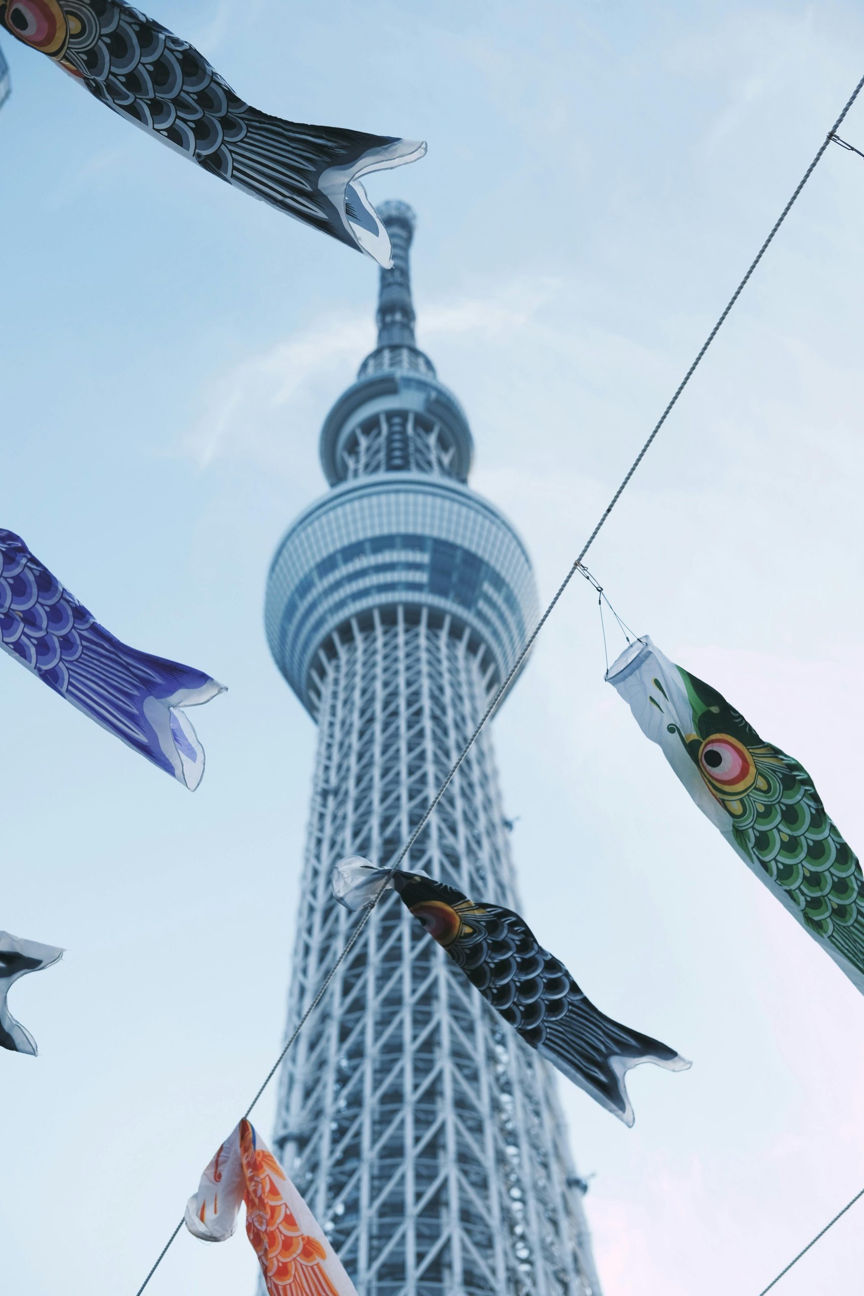 [ NHẬT BẢN ] LẠC LỐI MỘT NGÀY TẠI TOKYO
