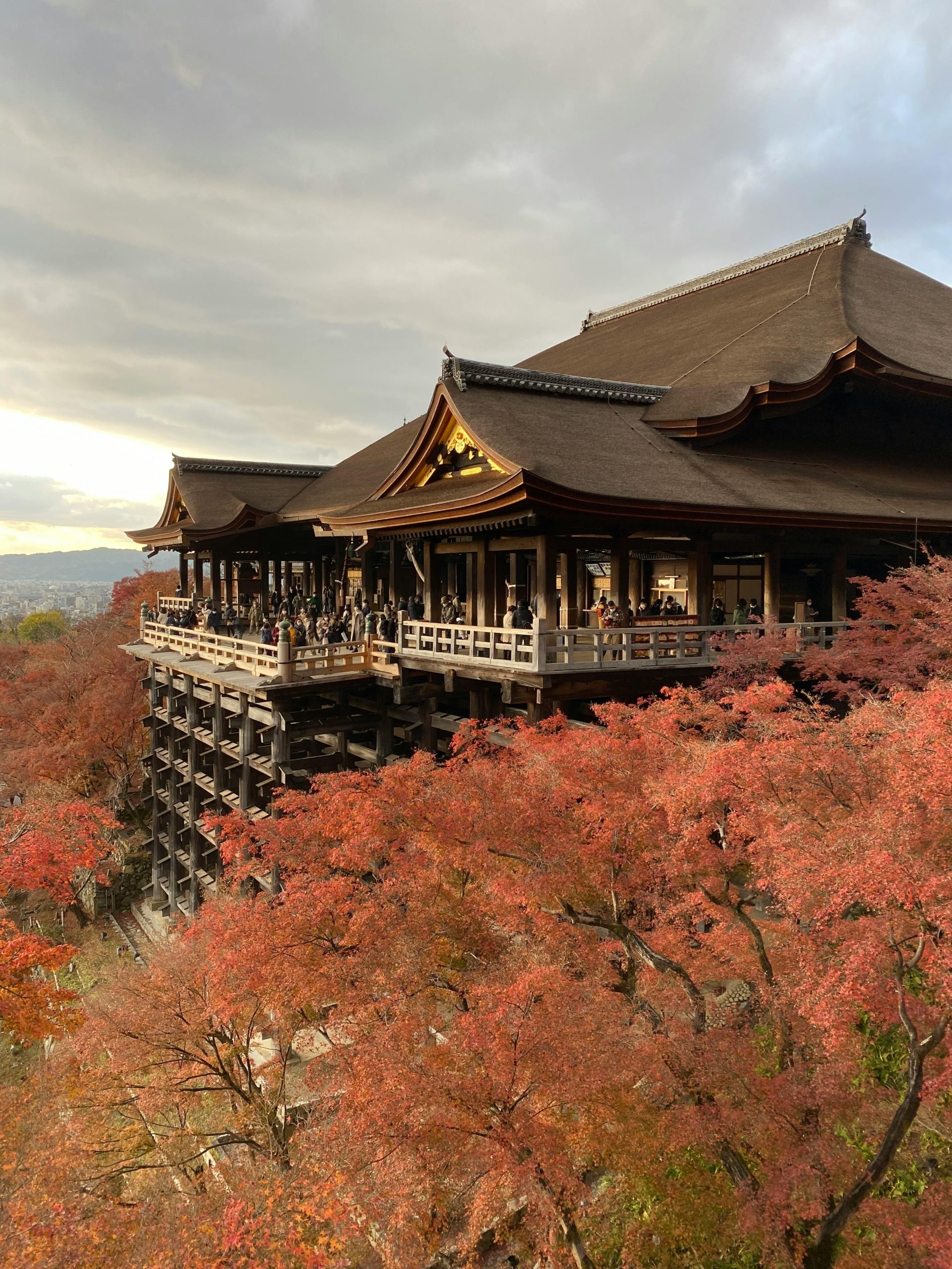 [ NHẬT BẢN ] MỘT NGÀY KHÁM PHÁ KYOTO VÀ NARA
